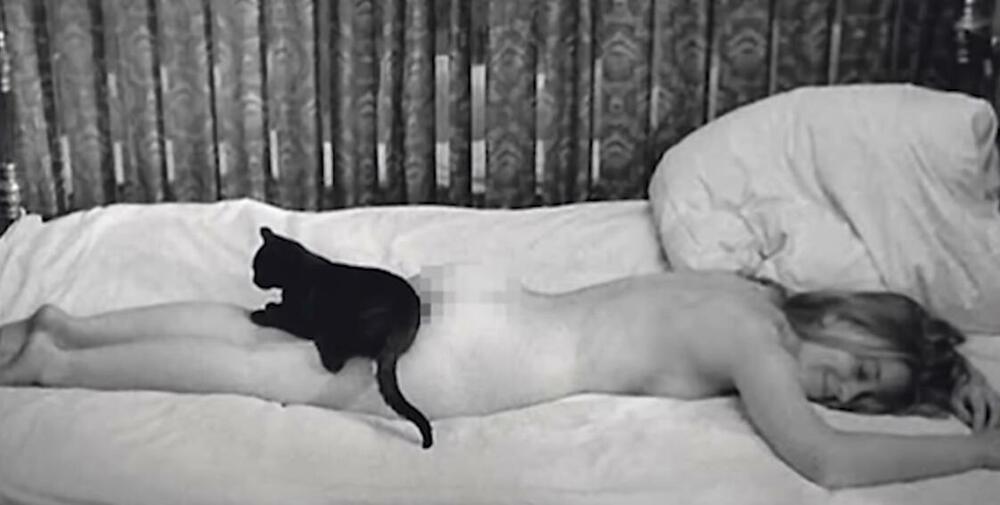 Ljubavni slučaj ili tragedija službenice P.T.T.