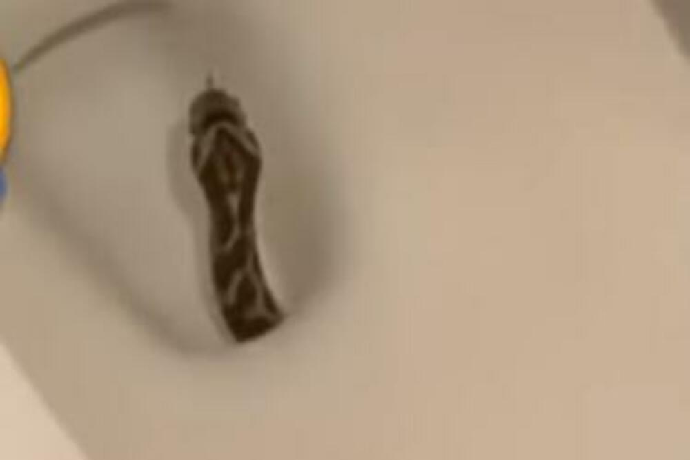 PODIGLA DASKU OD WC ŠOLJE I ODMAH POZVALA POMOĆ: To nije sve, NAJGORE je tek USLEDILO (VIDEO)