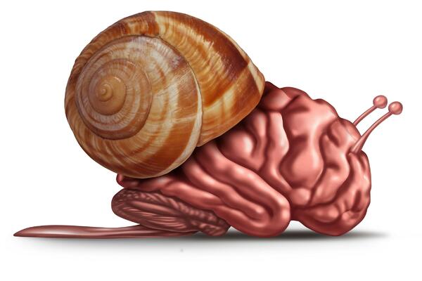 MISLI SU VAM SPORIJE OD PUŽA: Nahranite mozak na OVAJ način tako da funkcioniše punim kapacitetom!