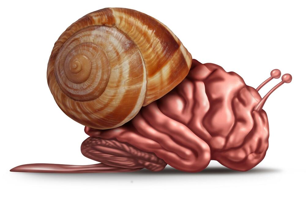 MISLI SU VAM SPORIJE OD PUŽA: Nahranite mozak na OVAJ način tako da funkcioniše punim kapacitetom!