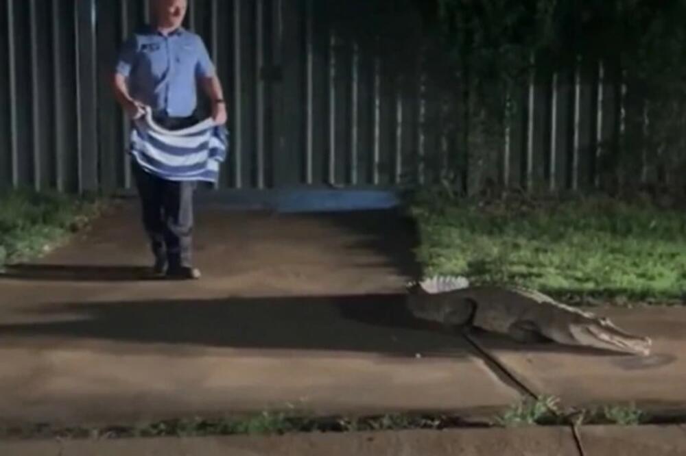 IZGUBLJENI KROKODIL LUTAO ULICAMA NAKON VELIKIH POPLAVA: Policija ODMAH REAGOVALA, ali tu nije BIO KRAJ (VIDEO)
