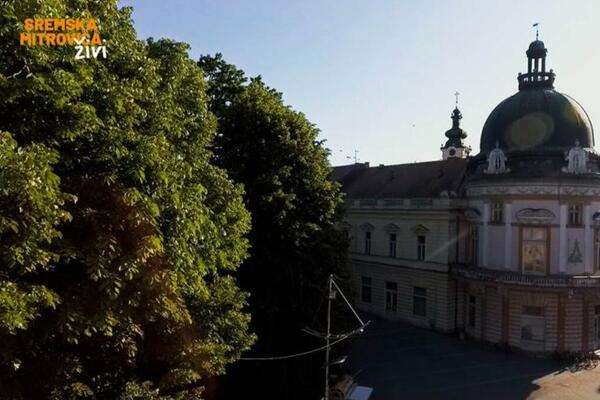 BESPLATNO ČLANSTVO MITROVČANIMA AKO SE PRIJAVE TOKOM OVA 2 DANA! Biblioteka "Gligorije Vozarović" slavi rođendan