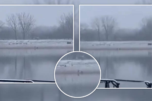 HLADNO JE SAMO DOK JE GLEDATE! Neverovatan prizor usnimljen DANAS NA ADI, žena ZARONILA u ledenu vodu! (VIDEO)