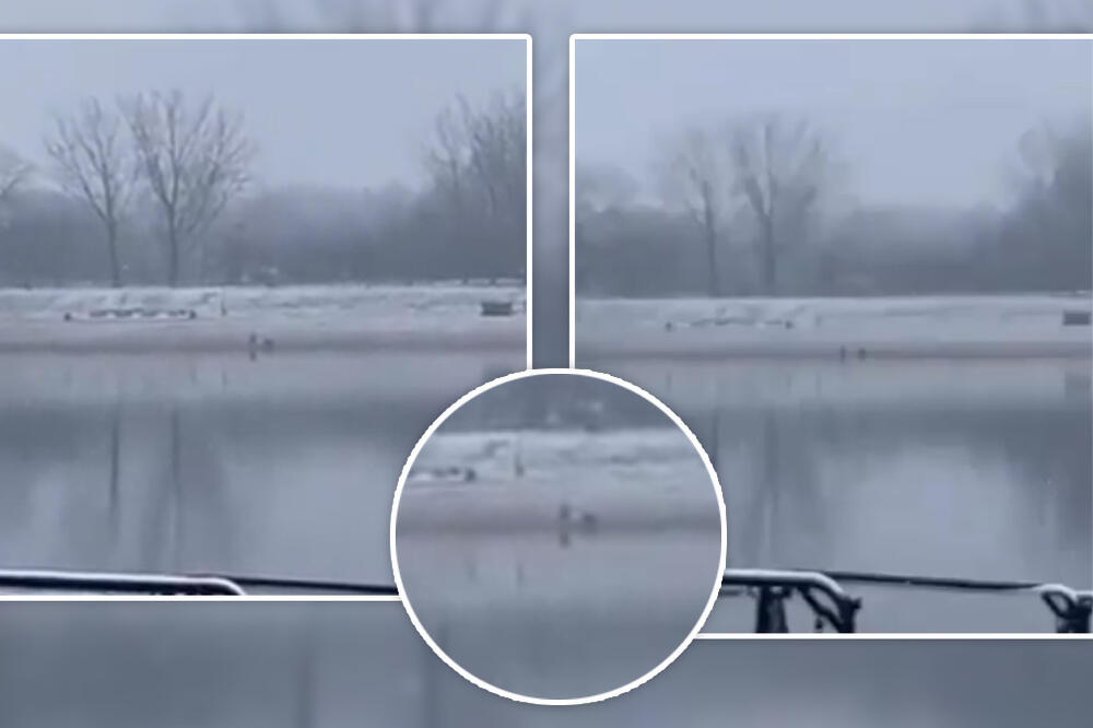 HLADNO JE SAMO DOK JE GLEDATE! Neverovatan prizor usnimljen DANAS NA ADI, žena ZARONILA u ledenu vodu! (VIDEO)