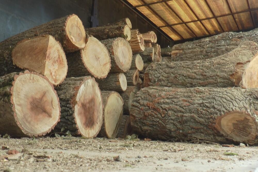 POČELA NAVALA NA DRVA: Pala CENA nakon GREJNE SEZONE, ovo je DETALJAN CENOVNIK!