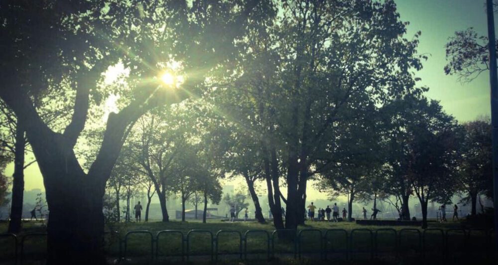 Miroslav Čitaković