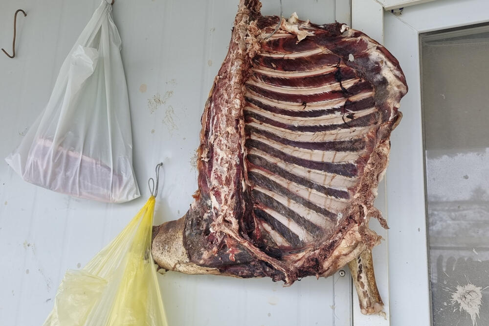 OGLASILA SE DOKTORKA ŠEHIĆ NAKON KRAĐE MESA SA STOČNOG GROBLJA: Objasnila je zbog čega je POSEBNO OPASNO