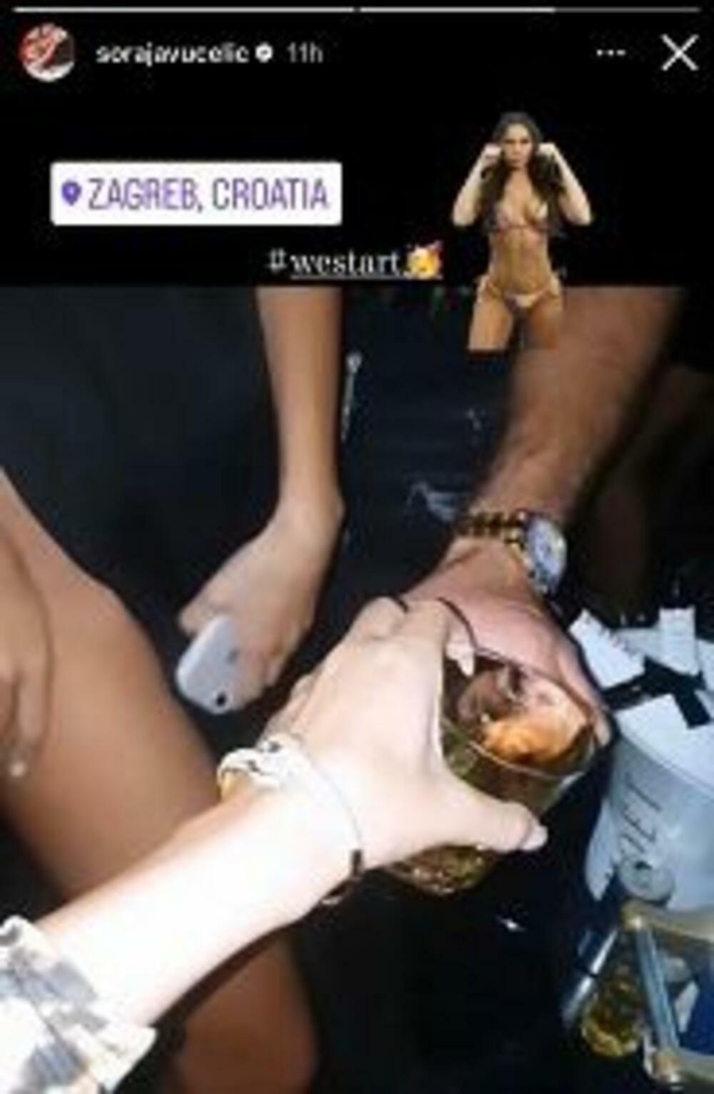 Objava Soraje Vučelić