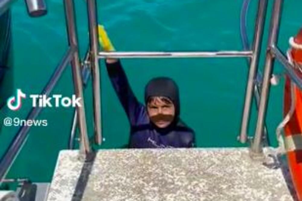 DETE ZGRABILA AJKULA NA PECANJU: Usnimljen STRAŠAN MOMENAT, uhvatila ga u ČELJUSTI! (VIDEO)