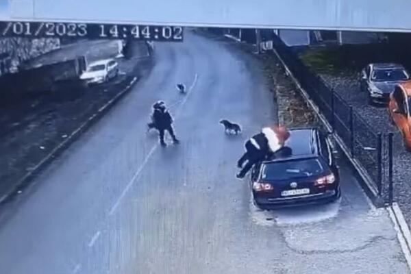 ČOPOR PASA NAPAO MUŠKARCA U VRČINU, A ON SVE OBJAVIO NA MREŽE: Onda su usledili NOVI NAPADI! (VIDEO)