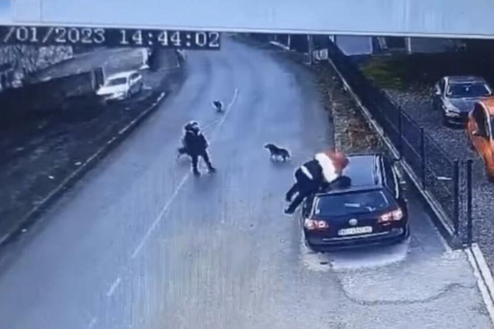 ČOPOR PASA NAPAO MUŠKARCA U VRČINU, A ON SVE OBJAVIO NA MREŽE: Onda su usledili NOVI NAPADI! (VIDEO)