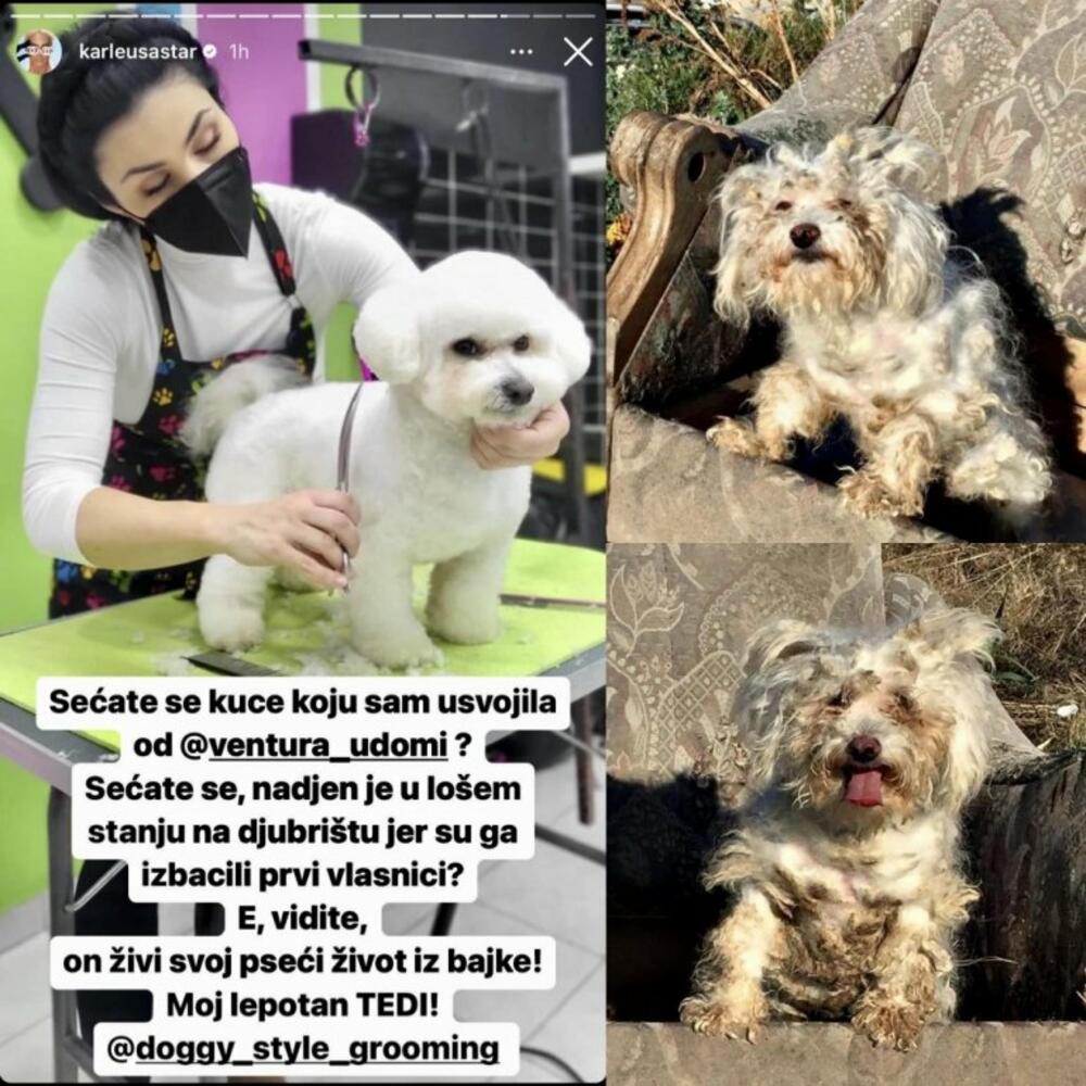 Jelena Karleuša je veliki borac za prava životinja