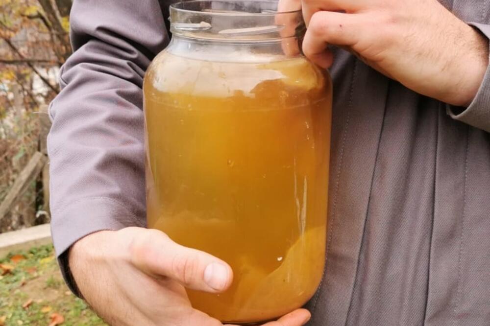 GLJIVU KOJA JE RATNICIMA DŽINGIS KANA DAVALA ENERGIJU DANAS UZGAJAJU U SRBIJI: Veruje se da je PRAVO ČUDO i ELIKSIR