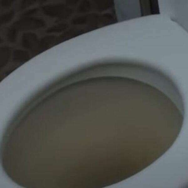 UPAO U KUĆU PORODICE IZ VALJEVA I ZAVRŠIO U NJIHOVOJ WC ŠOLJI: Davio se, UKUĆANI VAN SEBE od prizora, SNIMILI SU GA