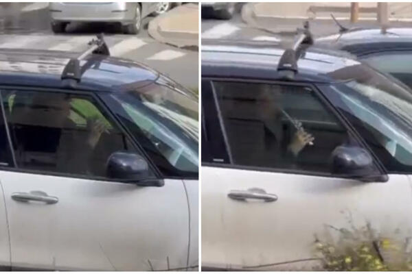 DOBRO POGLEDAJTE ŠTA OVAJ ČOVEK RADI NA SEMAFORU: Snimljen na Vračaru, VIDI SE DA UŽIVA! (VIDEO)