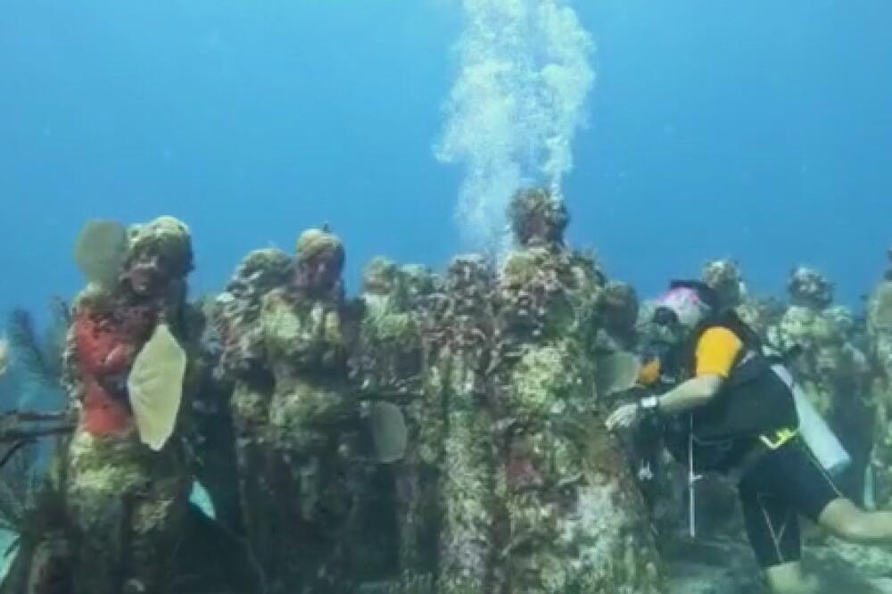 PRIZOR KOJI OSTAVLJA BEZ DAHA: Čačani overili i Karipsko more, HRABRI RONIOCI istražuju podvodne lepote širom sveta