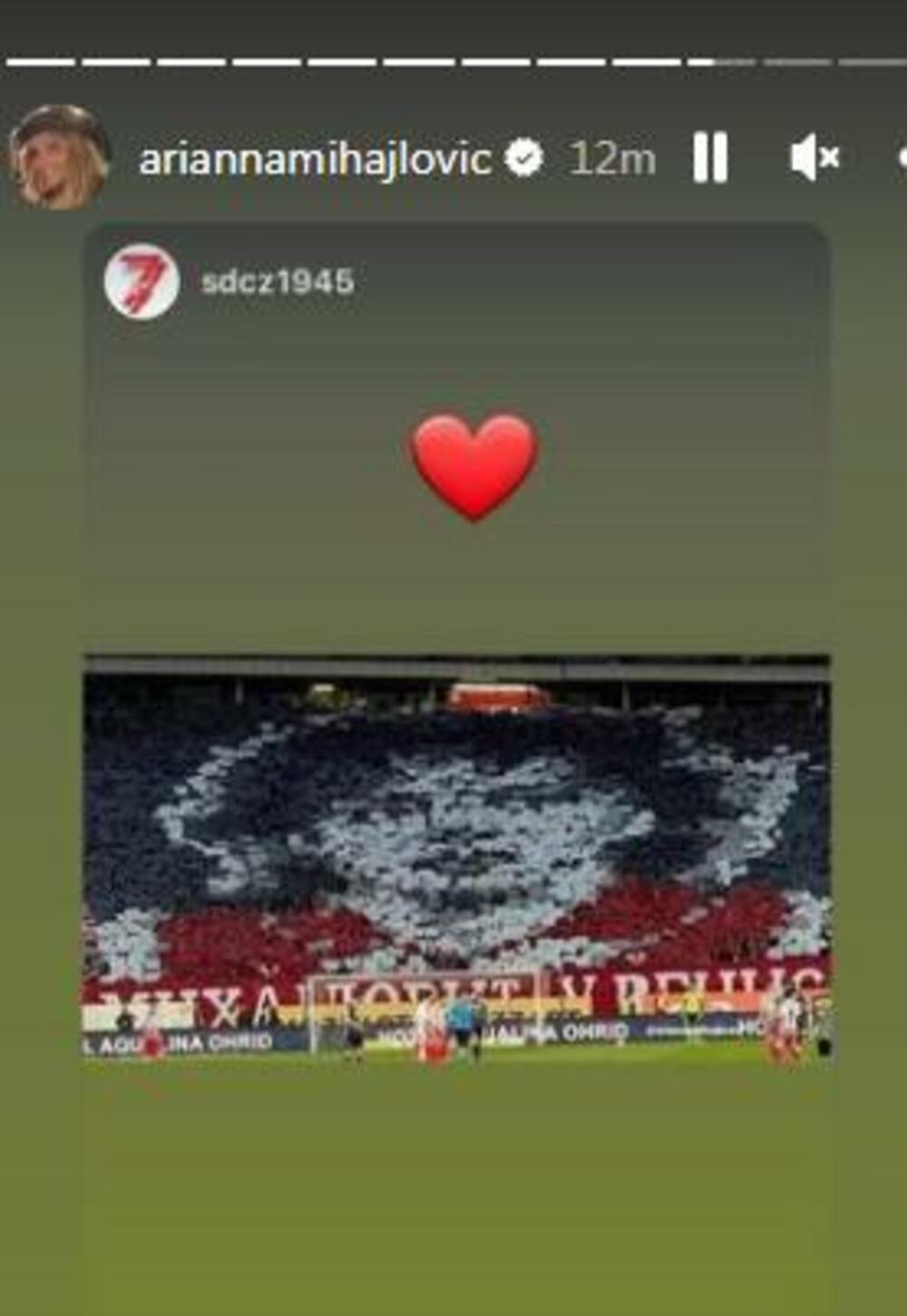 Marakana, Arijana Mihajlović, Siniša Mihajlović