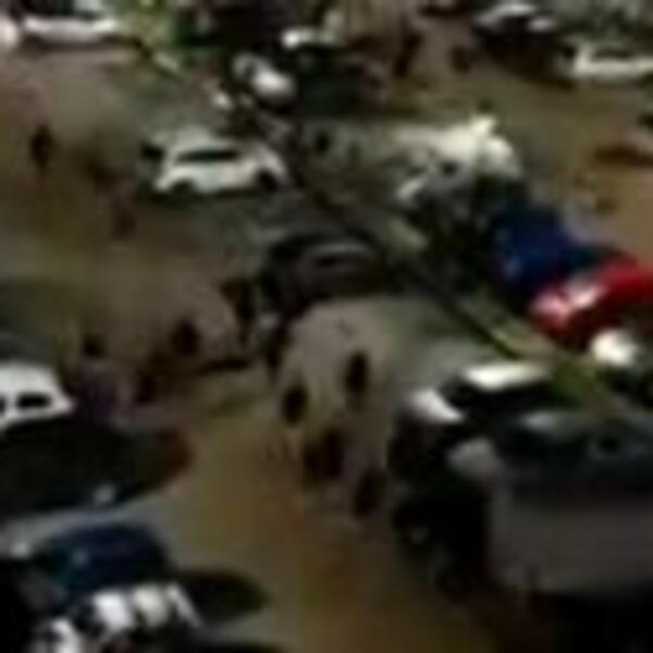 "DELIJE" OTELE ZASTAVU NAVIJAČIMA ROME: Bilo ih je manje, ali imali su pomoć s Juga! (VIDEO)