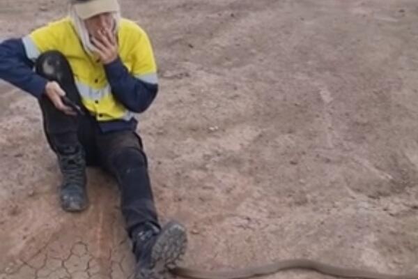 PRIKRALA JOJ SE SMRTONOSNA ZMIJA NA PUŠ-PAUZI: Kasno je primetila, a onda je uradila OVO! (VIDEO)