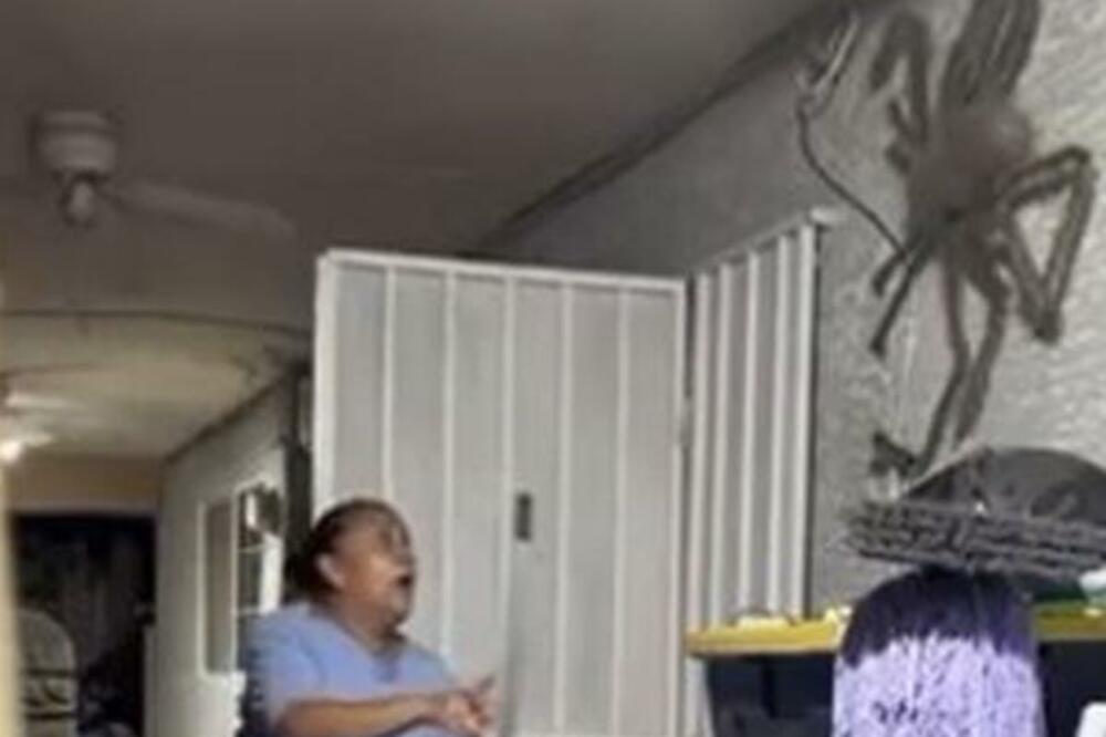 UŠLA JE U SOBU I ODMAH PRETRNULA KADA JE VIDELA ŠTA STOJI NA ZIDU: Pobegla je iste SEKUNDE, OGROMNO JE (VIDEO)