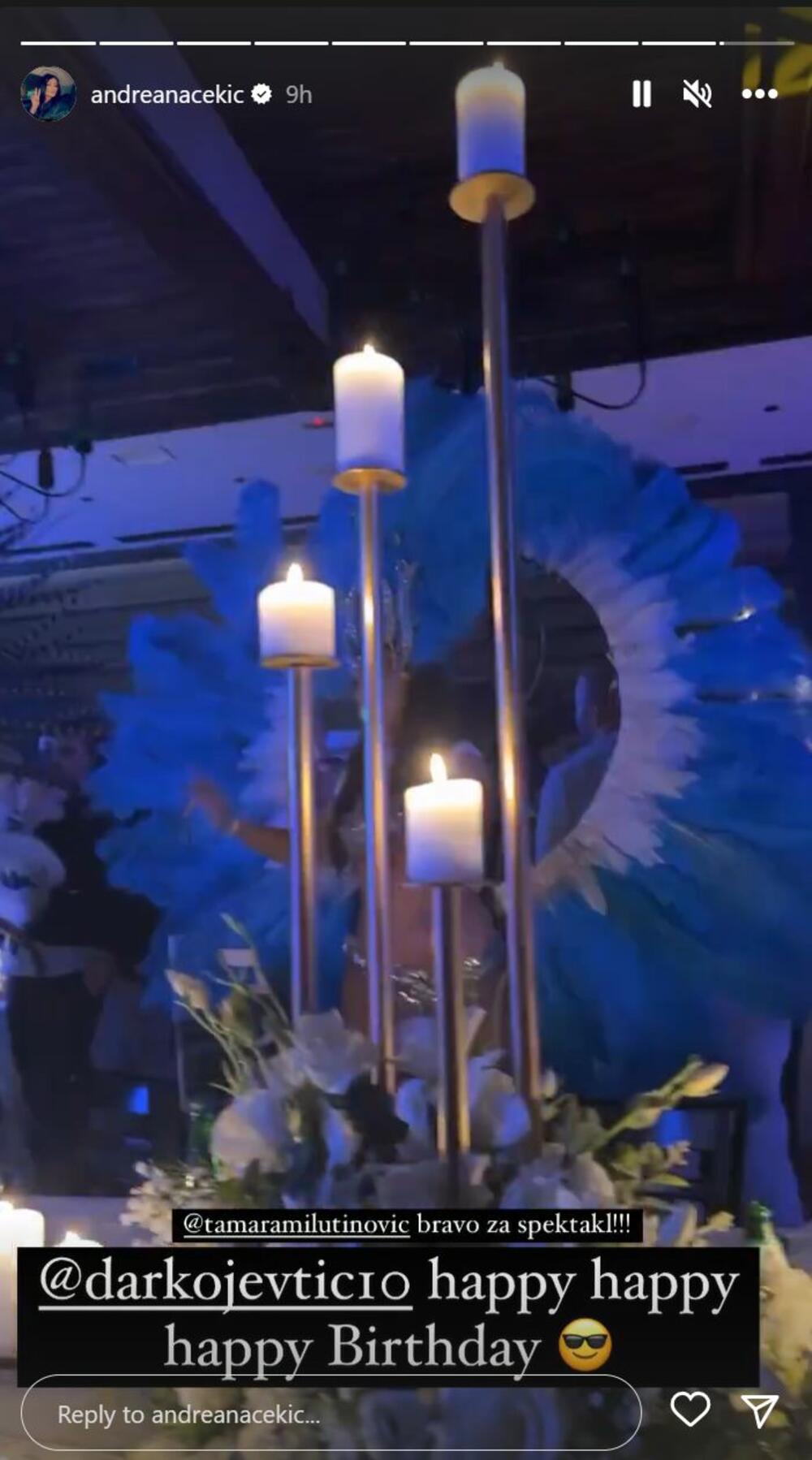 Objava Andreane Čekić