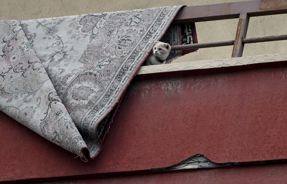 Turska, Zemljotres, Životinje, Životinje u Turskoj