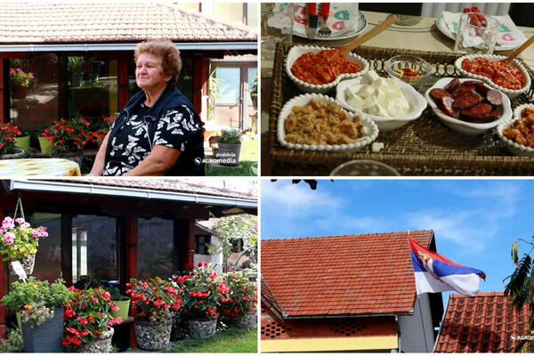 VRATILI SE IZ ŠVAJCARSKE I U SRPSKOM SELU NAPRAVILI RAJ! Milojka i njen muž imaju BIZNIS kojem se svi dive (VIDEO)
