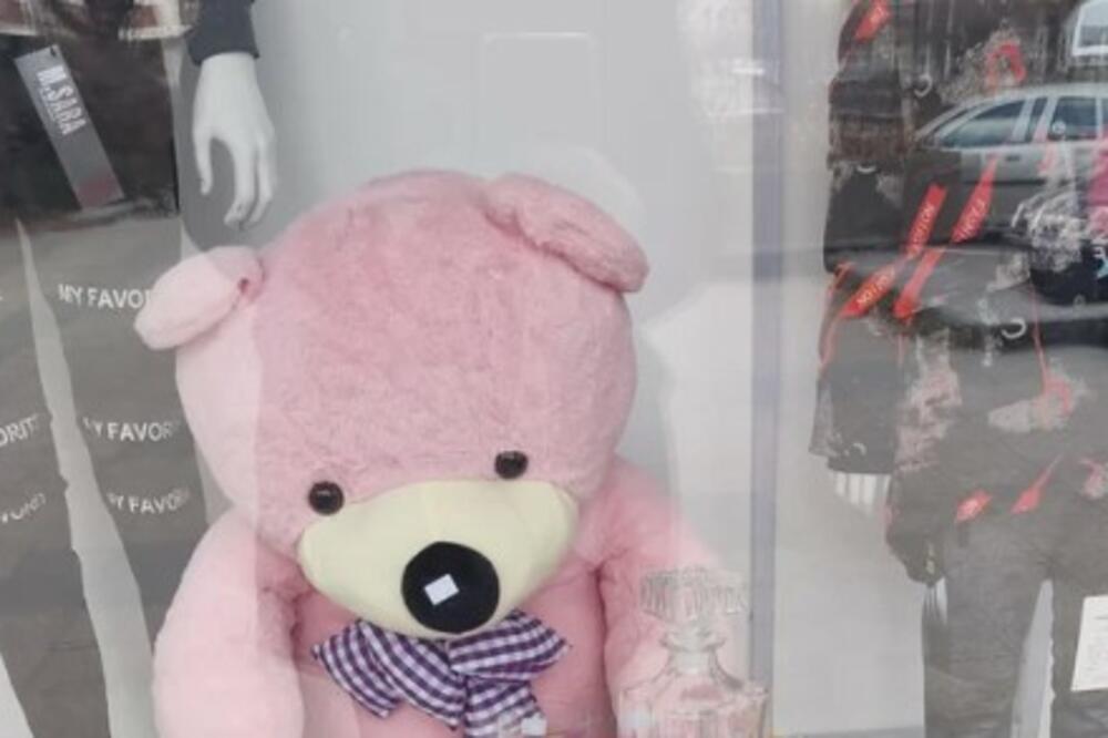KAKVA LI NJEGA BRIGA MORI? I PLIŠANI MEDVEDI MOGU BITI BOEMI! Ovaj IZLOG u Srbiji ZBUNIO SVE, evo ZAŠTO! (FOTO)