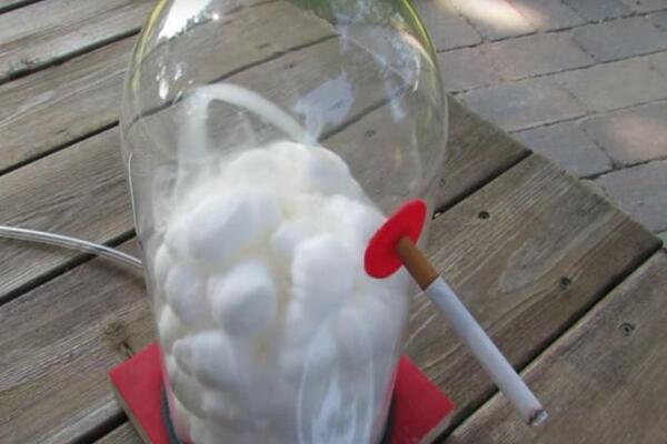 PUŠAČI, OD SNIMKA ĆE VAM SE SLOŠITI: Kad vidite šta jedan pakla učini vašim plućima, NIKAD NEĆETE ZAPALITI VIŠE