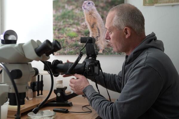 DRAGIŠA JE OBJEKTIVOM ZABELEŽIO 5.000 VRSTA ŽIVIH BIĆA: Izložbom u Novom Sadu obeležava 20 godina rada