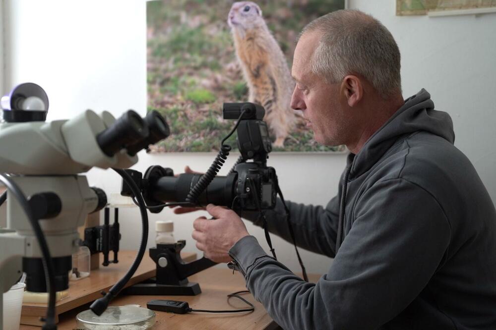 DRAGIŠA JE OBJEKTIVOM ZABELEŽIO 5.000 VRSTA ŽIVIH BIĆA: Izložbom u Novom Sadu obeležava 20 godina rada