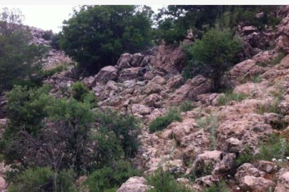 KO USPE, SVAKA MU ČAST: Možete li da pronađete snajperistu na ovoj slici? (FOTO)