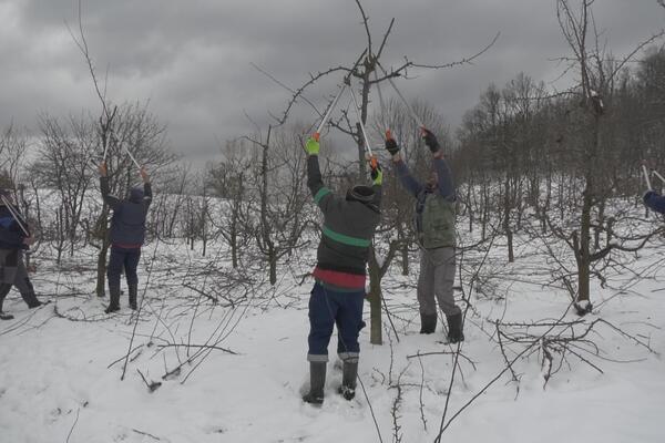 ONI SU NAJTRAŽENIJI MAJSTORI TOKOM ZIME I BUKIRANI SU SVE DO APRILA: Od njihovog rada mnogo toga ZAVISI (FOTO)