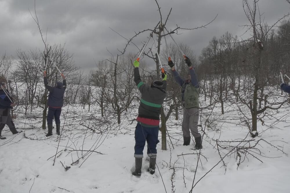 ONI SU NAJTRAŽENIJI MAJSTORI TOKOM ZIME I BUKIRANI SU SVE DO APRILA: Od njihovog rada mnogo toga ZAVISI (FOTO)
