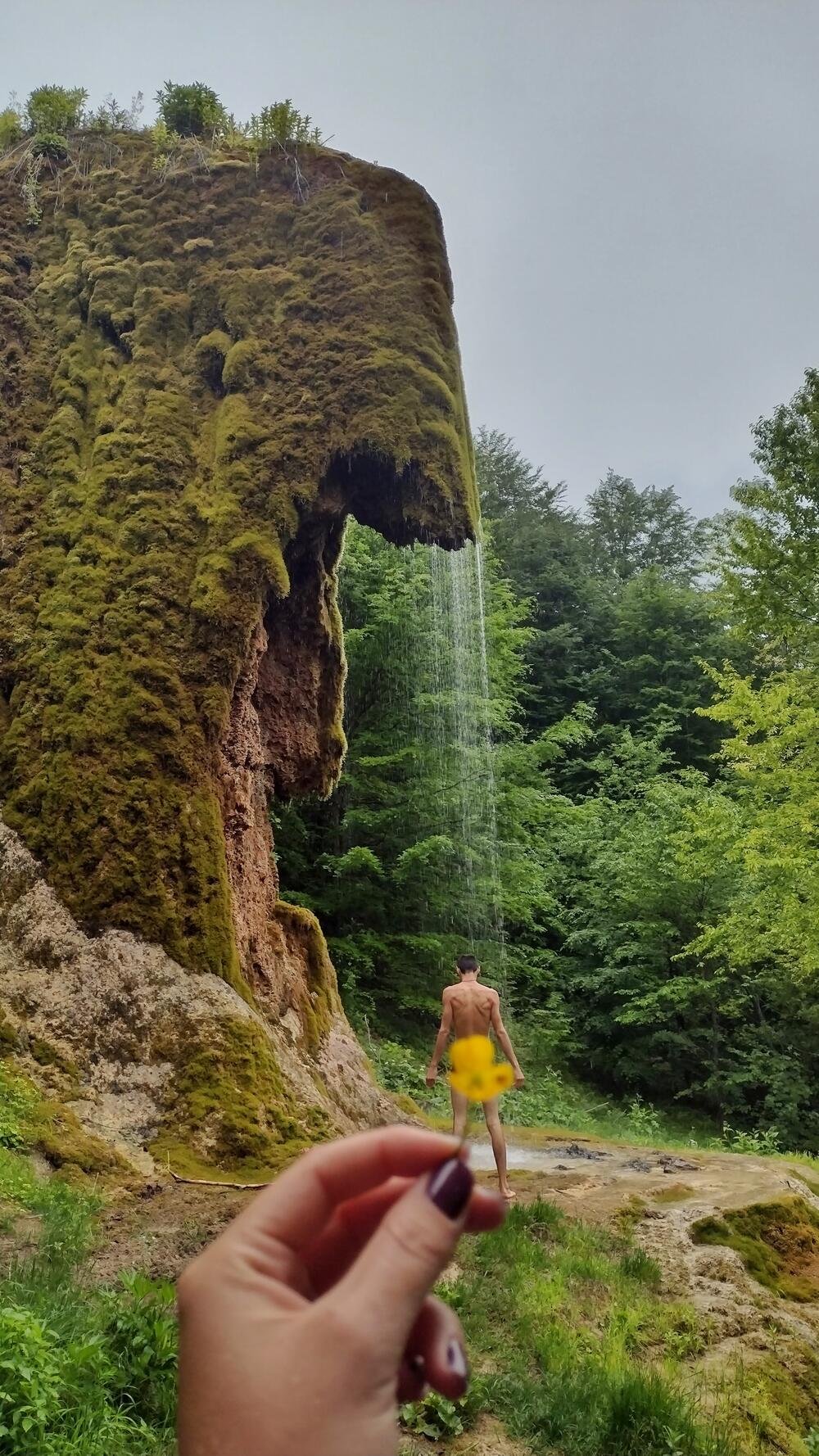 Prašumski vilenjak ispod vodopada