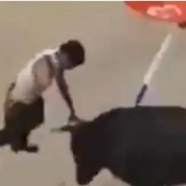 ZATRČAO SE BIKU NA ROGOVE IZ ČISTA MIRA, USLEDIO UŽASNI HOROR: Snimak gledajte na svoju odgovornost, nije za svakog