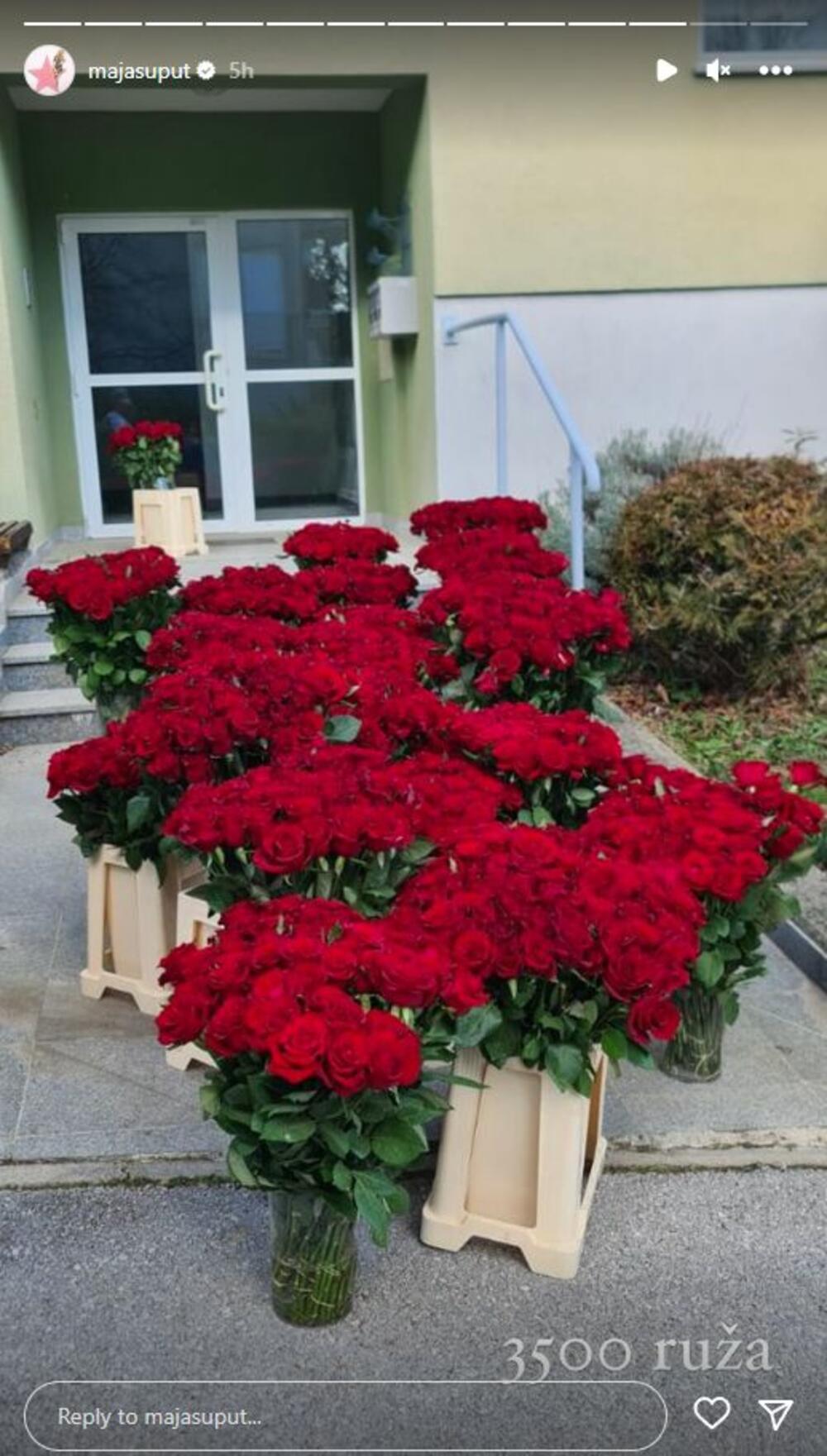 Pevačica za Dan zaljubljenih od muža dobila 3.500 ruža