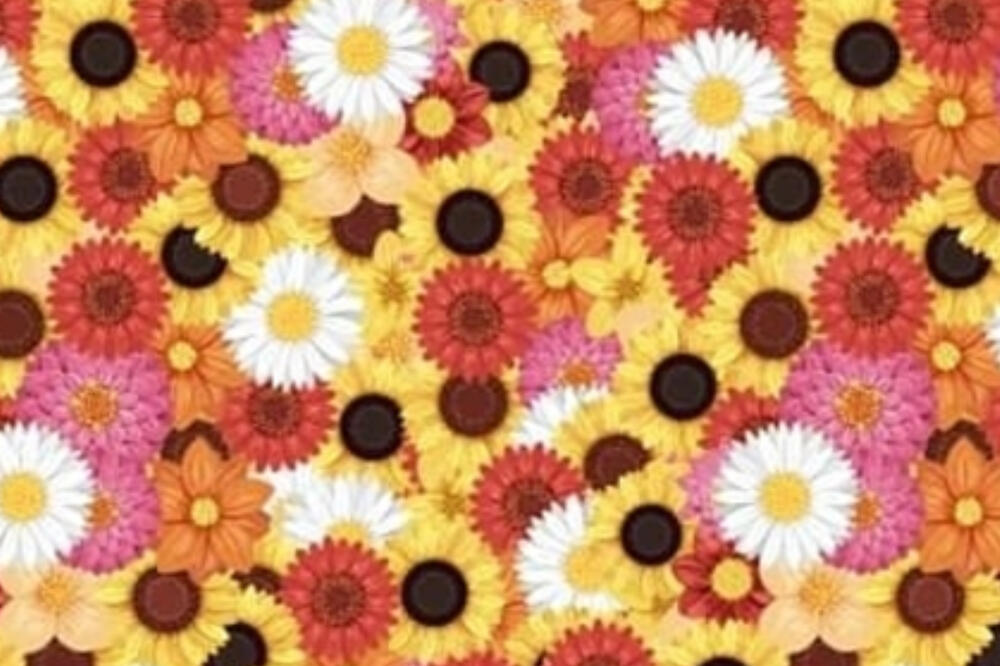 NEMOGUĆE! OVO NIKO NE MOŽE DA REŠI: Mozgalica kruži internetom, pokušajte da PRONAĐETE PČELU u cveću