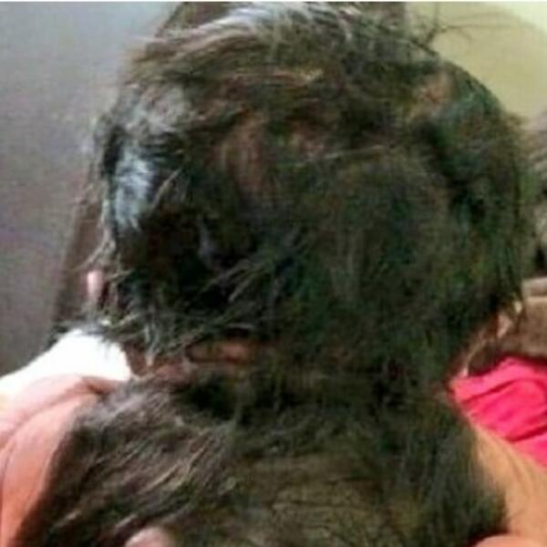 IZ ŽENE SU NA POROĐAJU IZVUKLI NEŠTO CRNO: Lekarima ništa nije bilo jasno, a onda su shvatili VELIKU ISTINU