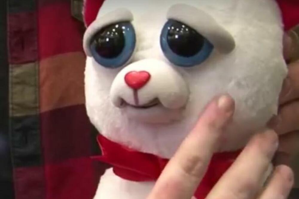 DELUJE KAO PRESLATKI PLIŠANI MEDA, A ZAPRAVO JE VELIKA NOĆNA MORA: Niko ne očekuje preokret, ljudi se prepadnu