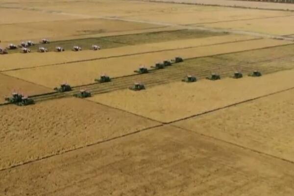 Kina predstavila „Centralni dokument broj 1“ za 2023. godinu! VIDEO