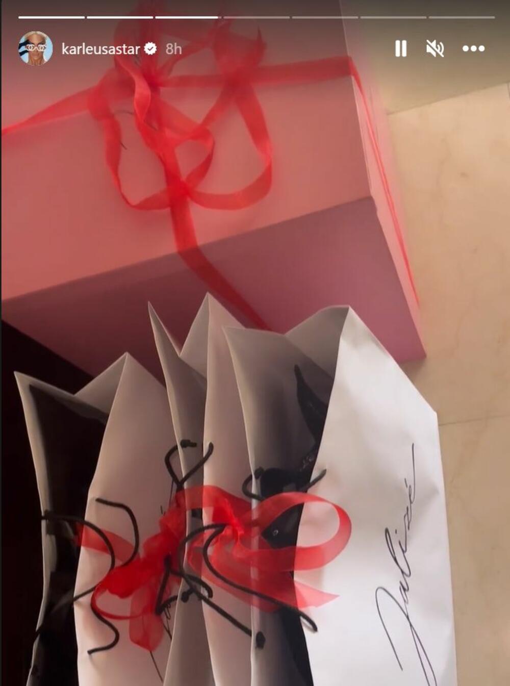 Iznenađenje za Dan zaljubljenih za Jelenu Karleušu