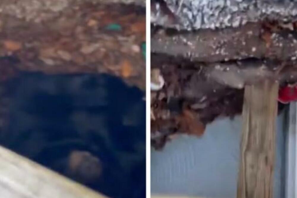 VIDELA JE DA NEŠTO SPAVA PORED NJENE TERASE I UTRNULA: Ogromno je, pojavio se i SNIMAK! (VIDEO)