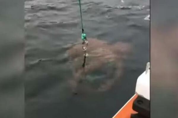 DOŽIVELA JE JEZIVU SITUACIJU NA PECANJU: Osetila da je vuče nešto TEŠKO, pa ugledala crvenu NEMAN (VIDEO)