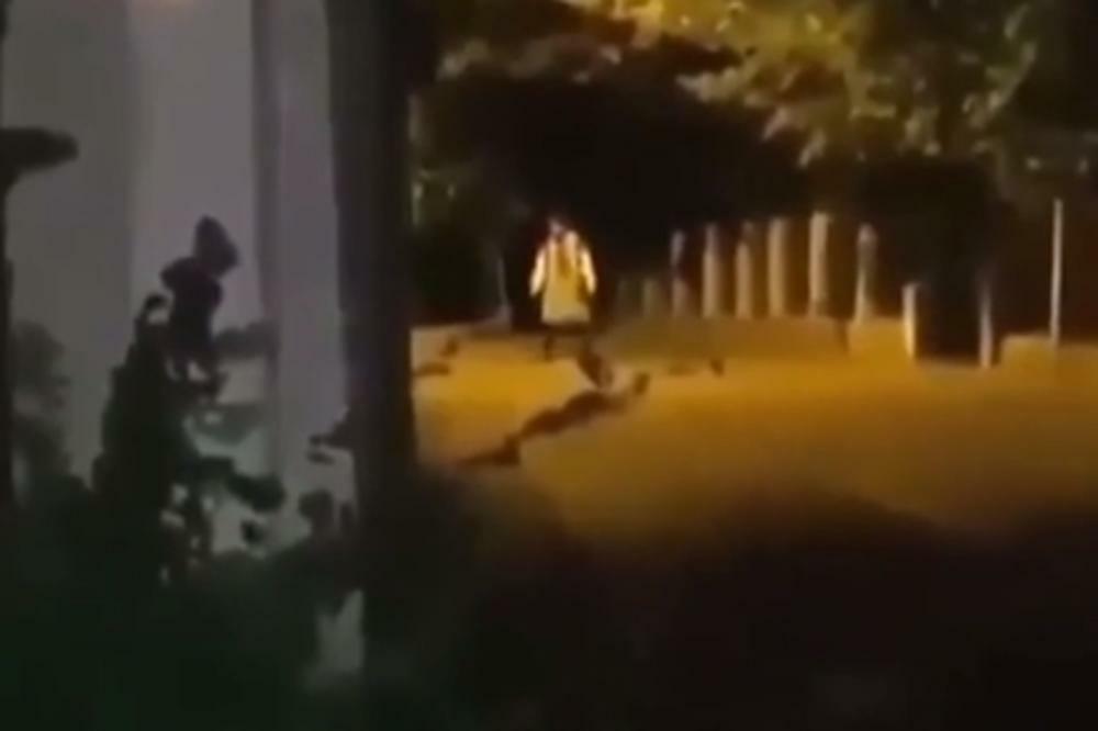 ŽENA KOJA IGRA USRED NOĆI NA ZVEZDARI OPET UTERUJE STRAH: Stranci prestravljeni, 1 stvar je i dalje misterija!