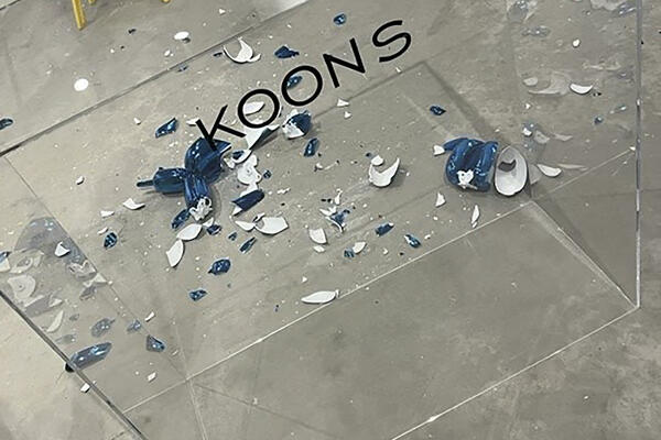 RAZBILA "PSA OD BALONA" NA HILJADE KOMADA: Nesvakidašnji incident težak 42.000 dolara, nije verovala da je PRAVI?