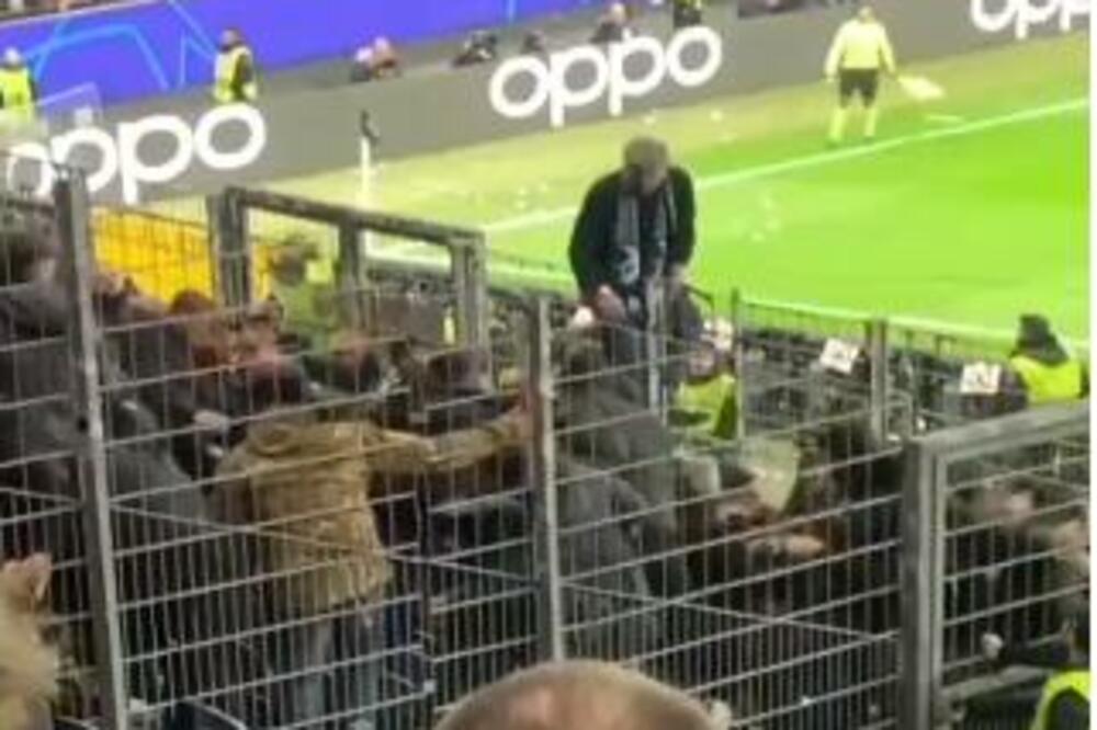 NOVA BRAĆA "DELIJA" PRAVILA HAOS U FRANKFURTU: Tukli se međusobno u "kavezu", domaći ih gledali u čudu! (VIDEO)