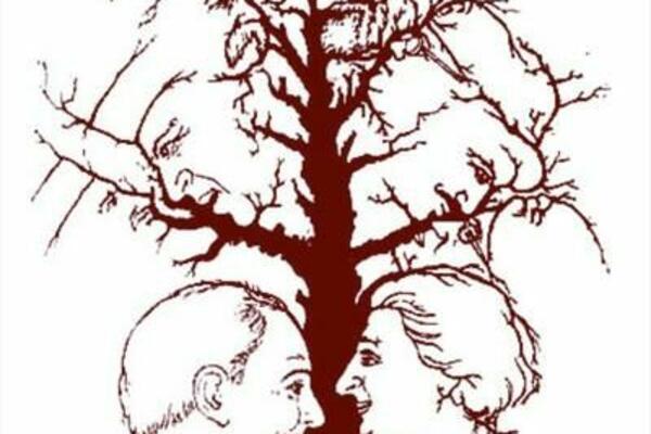 KOLIKO LICA VIDITE NA OVOJ SLICI? Samo mali broj ljudi MOŽE DA UOČI SVE!