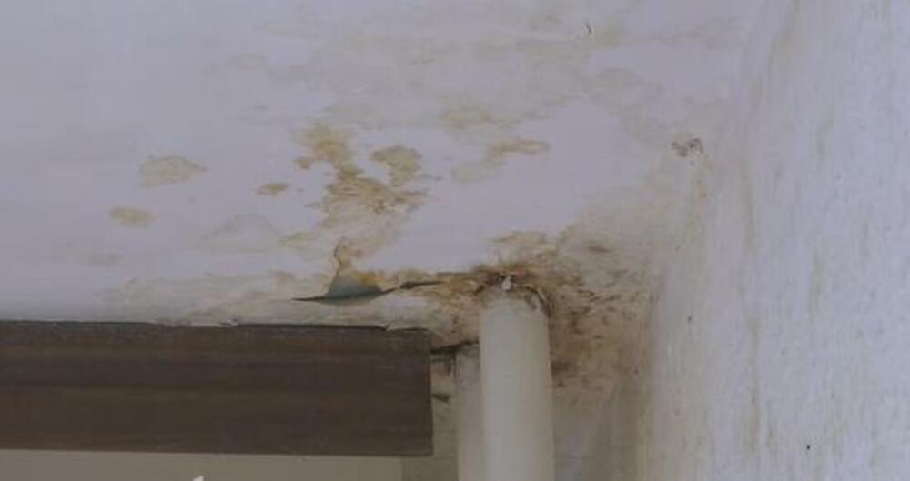 Fekalije idu niz zid