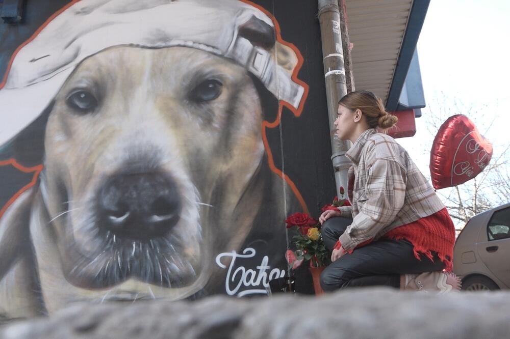 KO GOD JE TOGA DANA POMAZIO BAĆIJA, MOGAO JE BITI OTROVAN: Ispovest vlasnice Jane RASPLAKALA UŽIČANE! (FOTO)